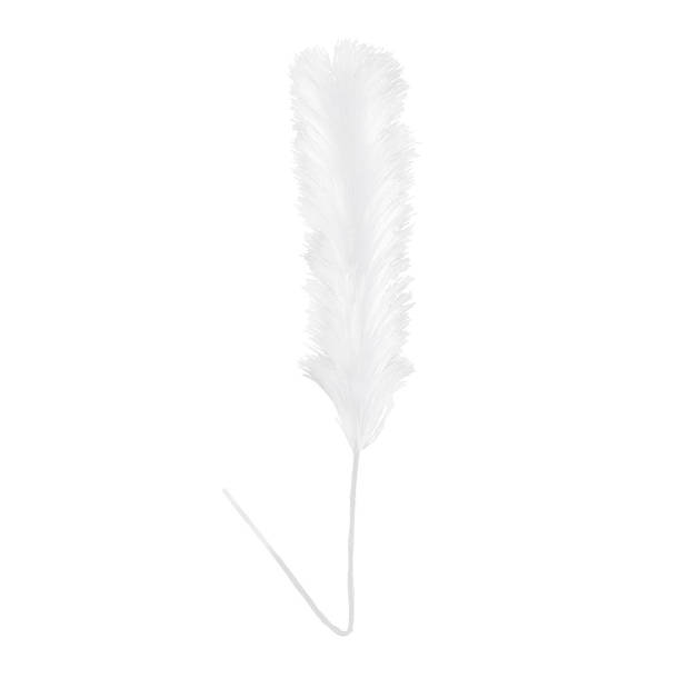 Gracie Oaks 43.25'' Pampas Grass Grass Wayfair